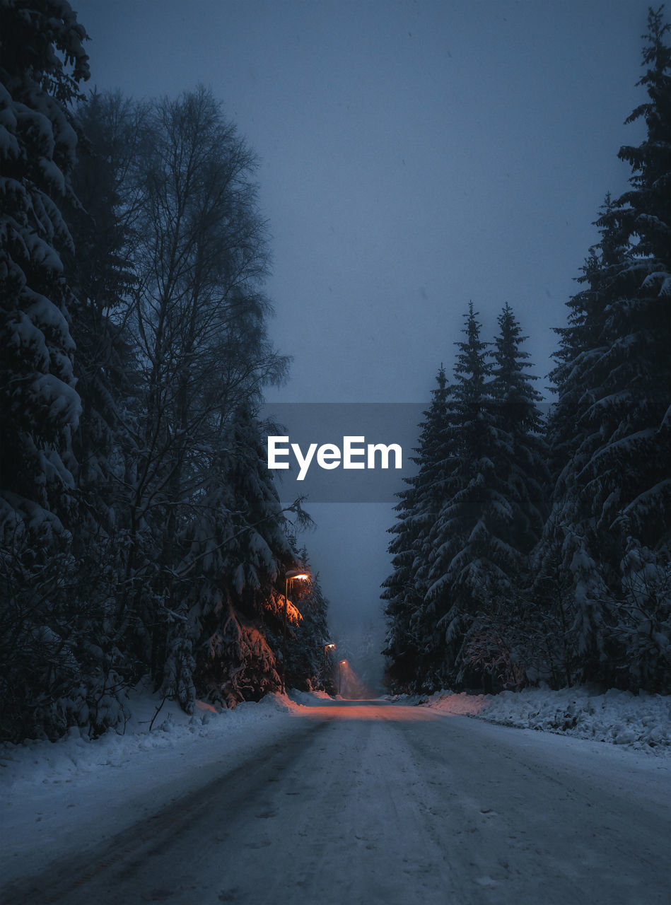 Road amidst trees during winter at night