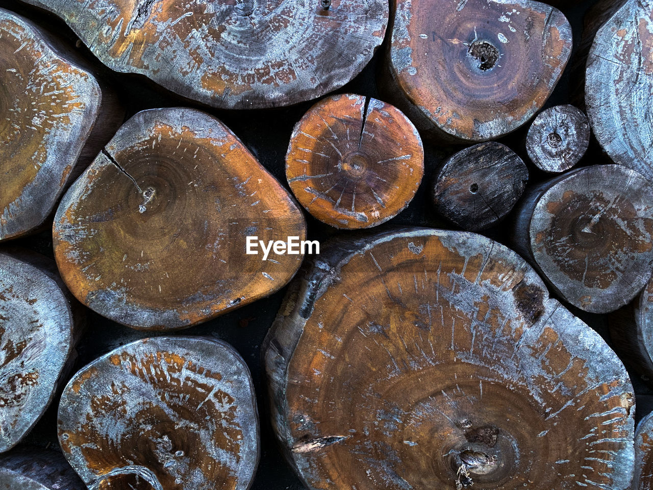 A cut piles of logs from the deep jungle of borneo, indonesia.