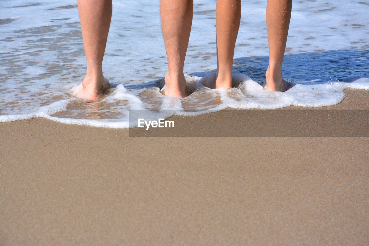 Low section of people standing on beach