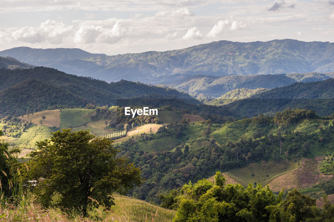 Scenic view of tree mountains against sky