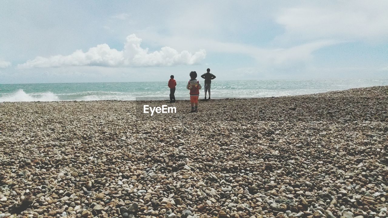 Rear view of people on beach