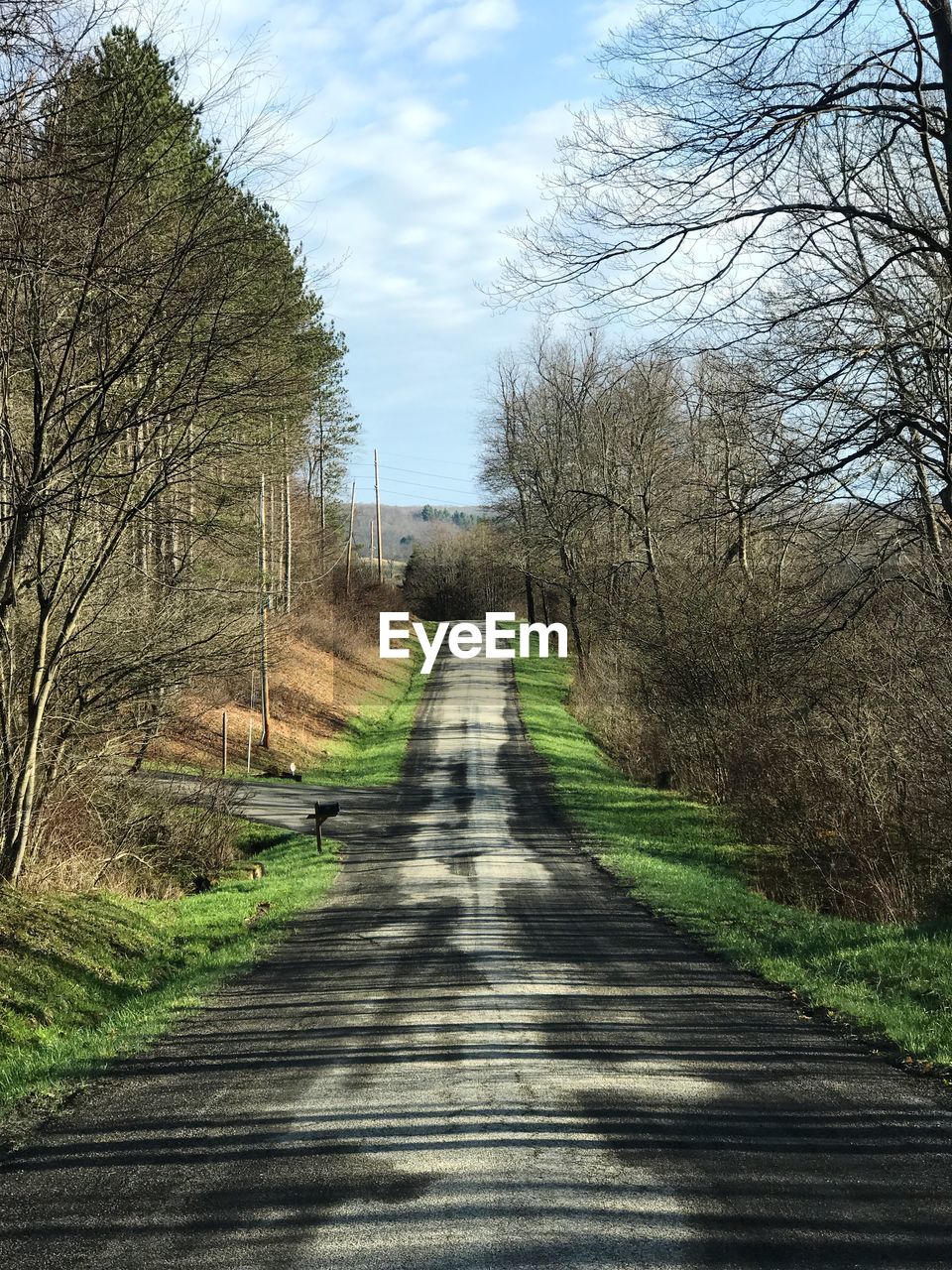 DIRT ROAD AMIDST TREES AGAINST SKY