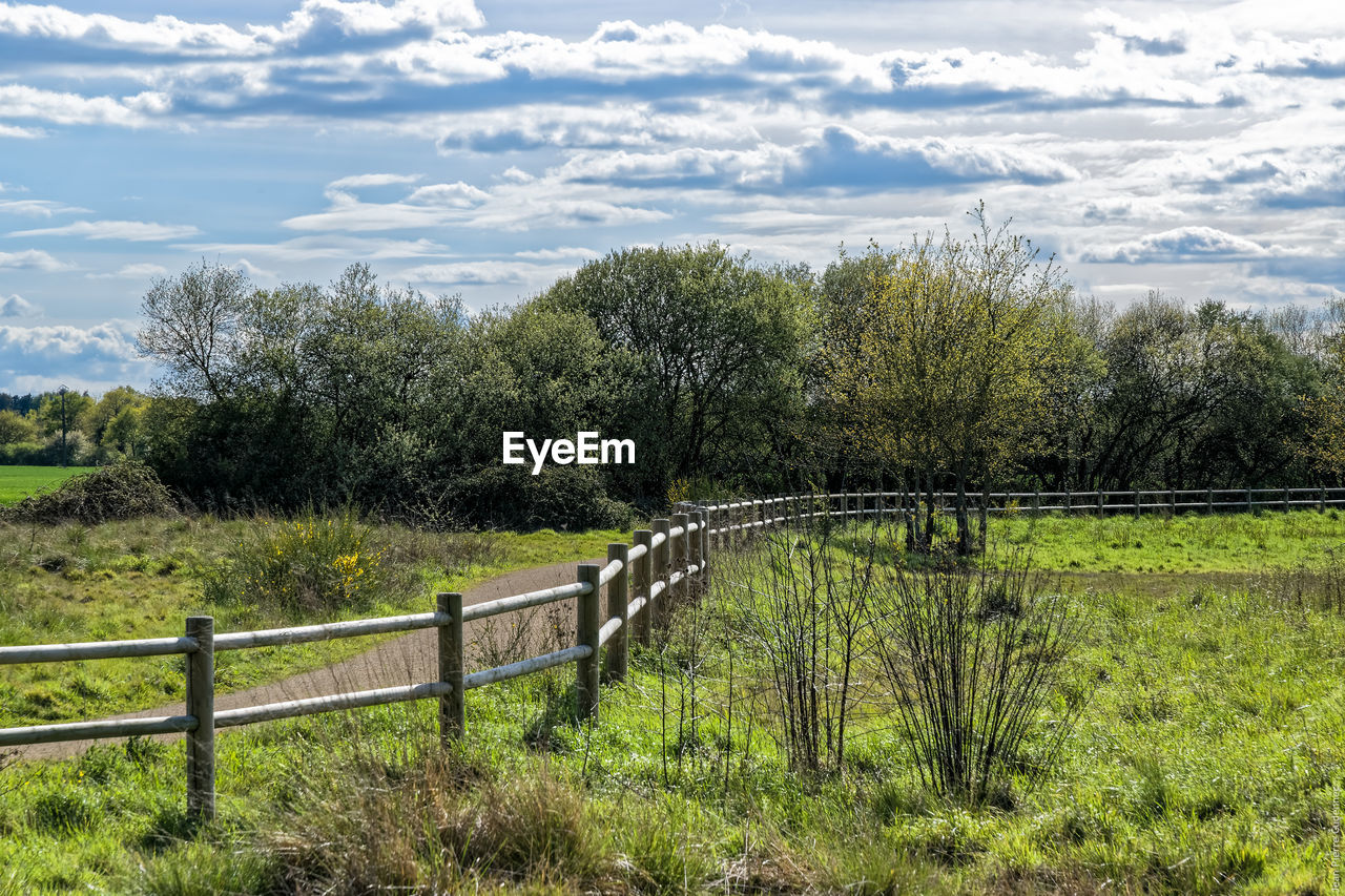 SCENIC VIEW OF GRASSY FIELD AGAINST SKY