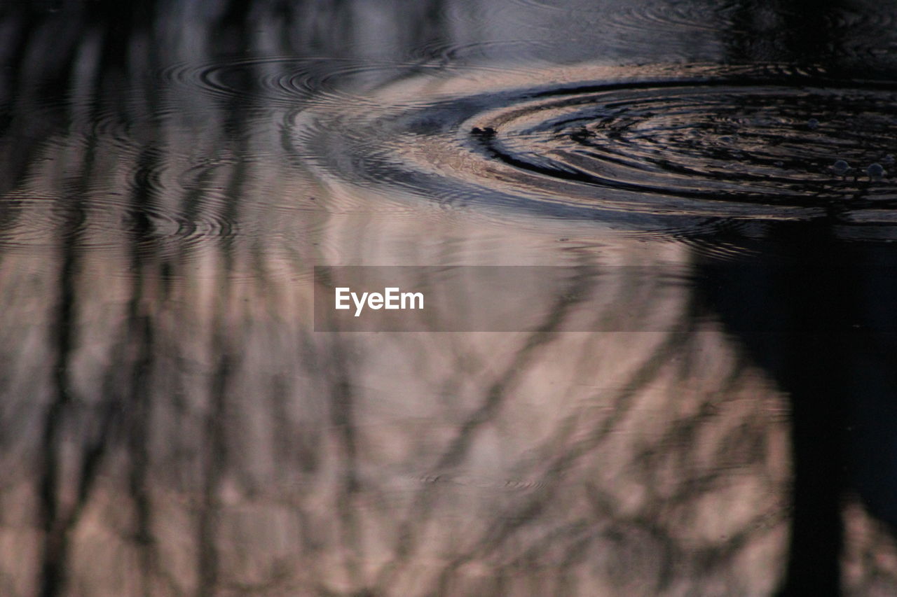 CLOSE-UP OF RIPPLED WATER IN SUNLIGHT