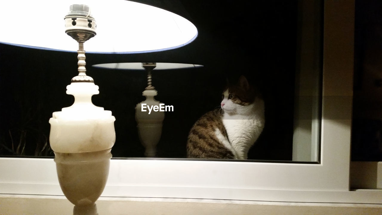 Close-up of illuminated lamp shade with reflection of cat in mirror