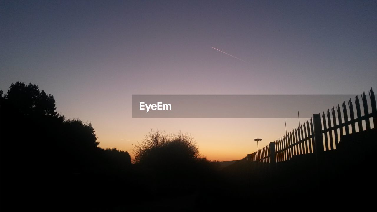 SILHOUETTE OF TREES AT SUNSET