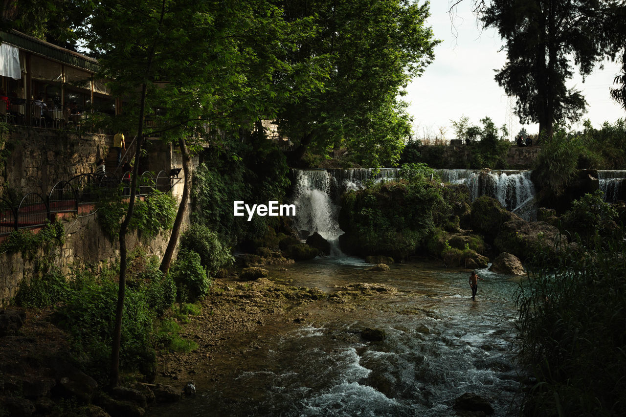 Scenic view of waterfalls 