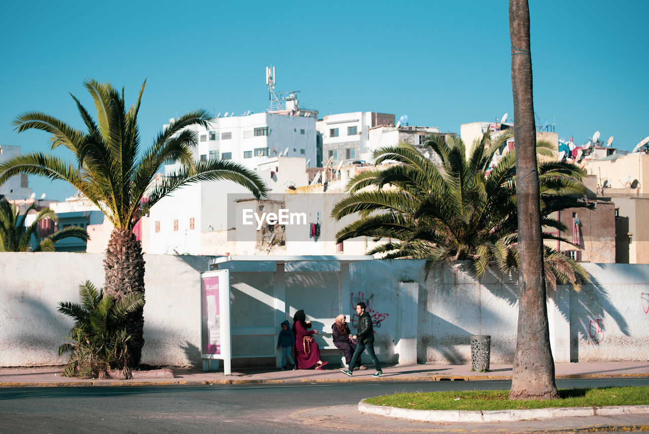 PEOPLE BY PALM TREES AGAINST SKY