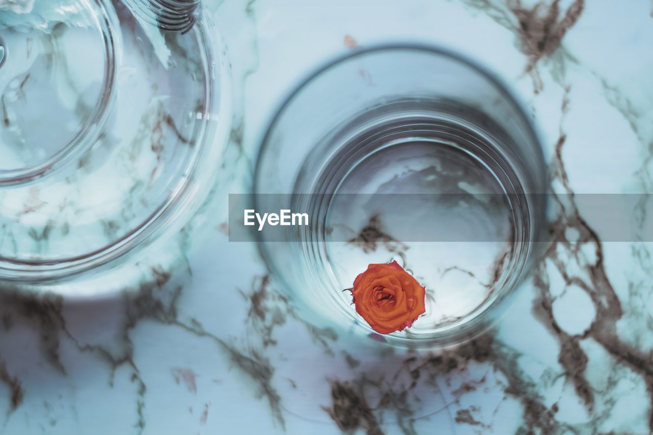 High angle view of insect in glass jar