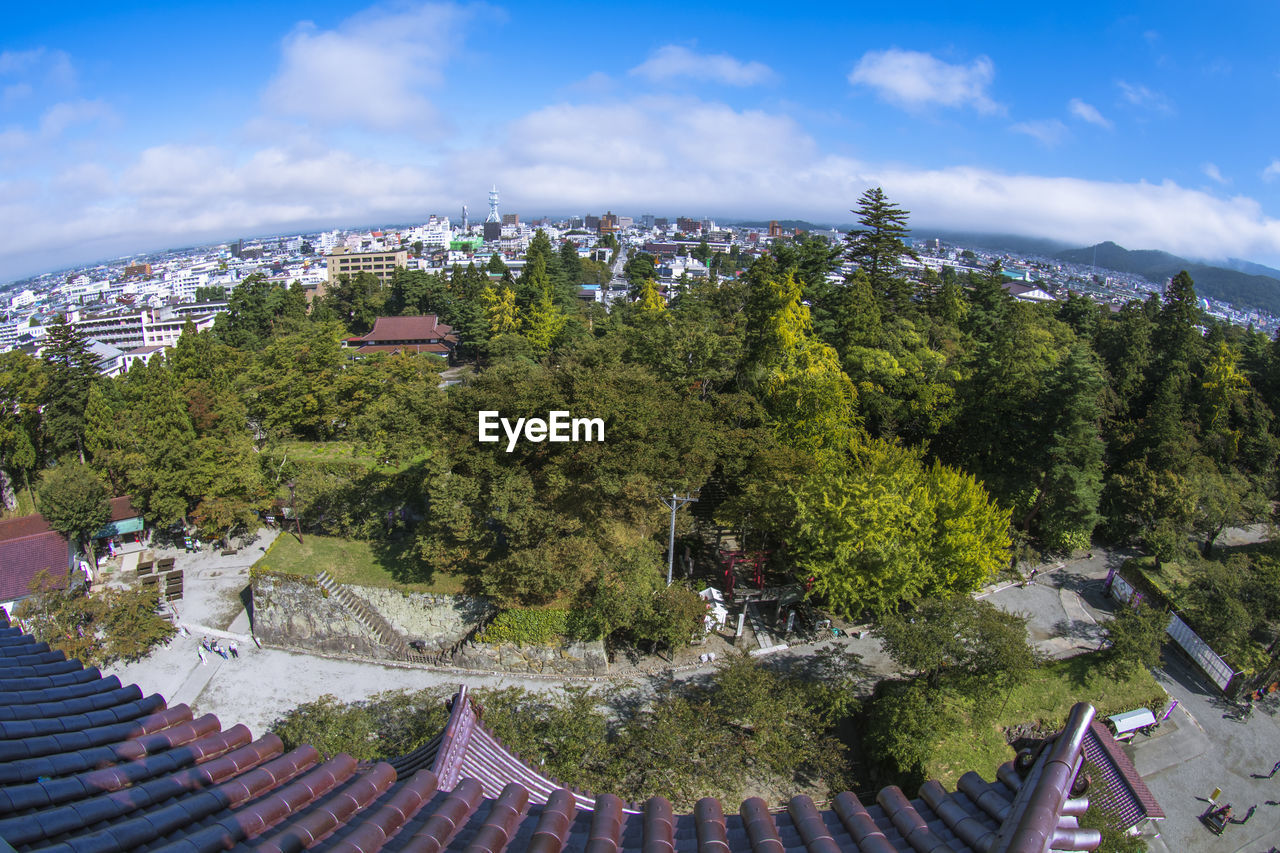 HIGH ANGLE VIEW OF TREES AND BUILDINGS