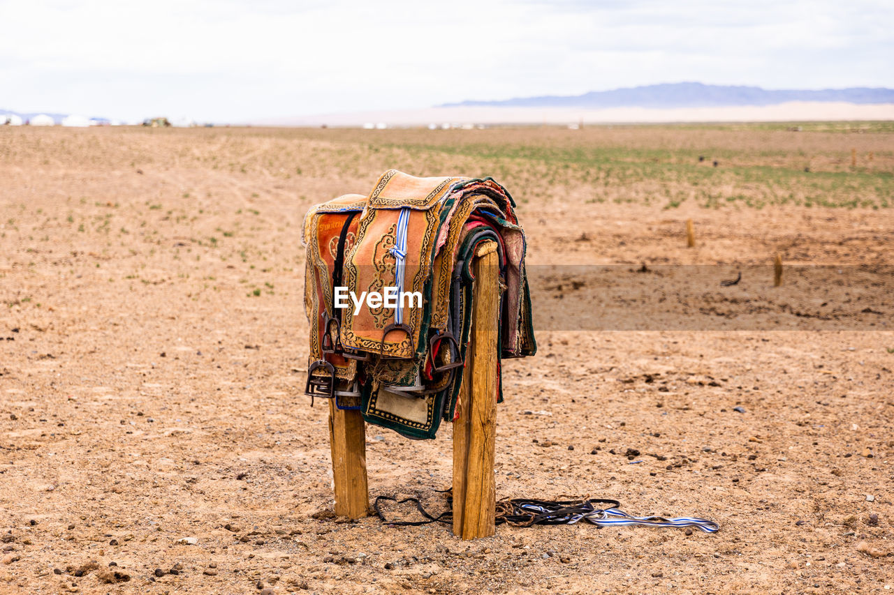 HORSE CART ON LAND