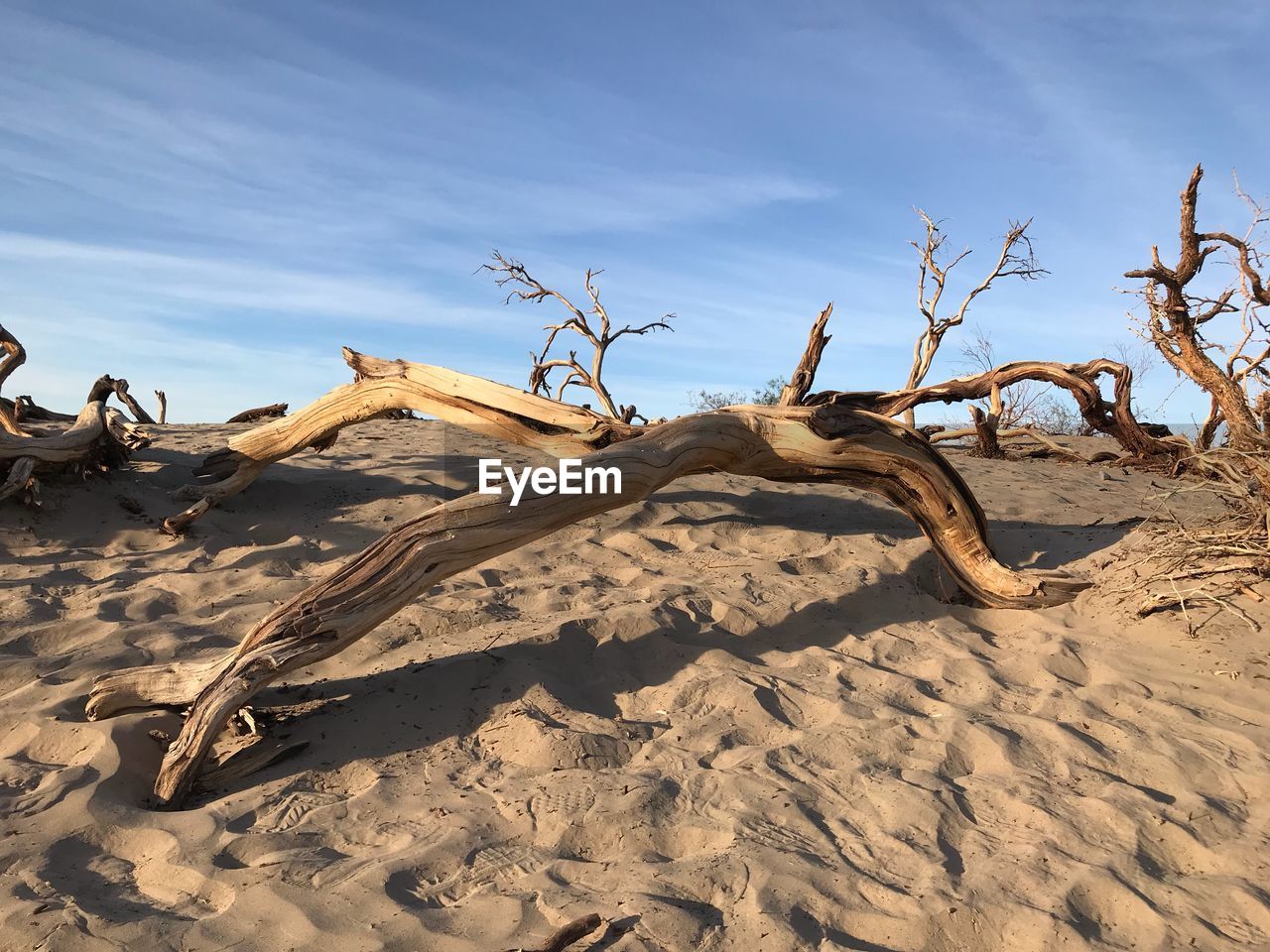 Sand dune in desert against sky