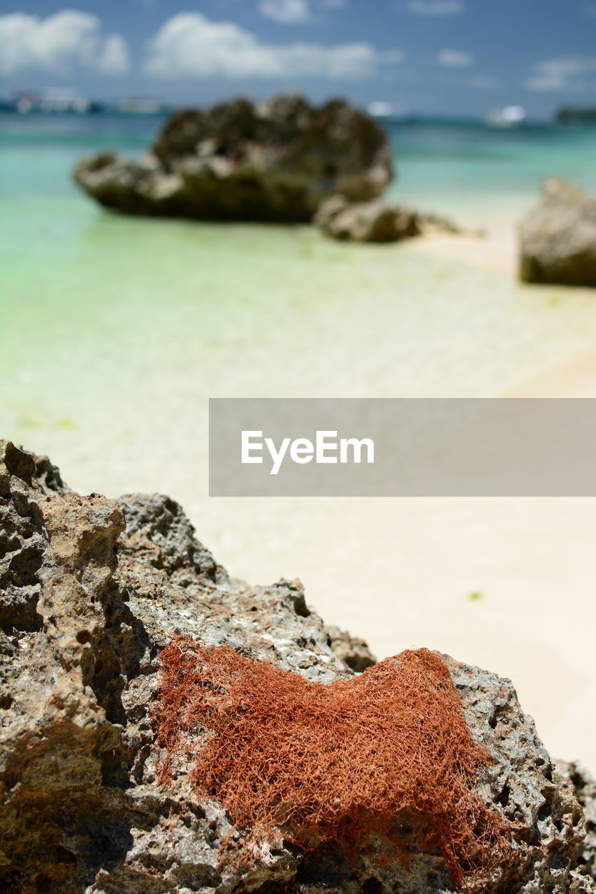 Beachscape. white beach. boracay. western visayas. philippines