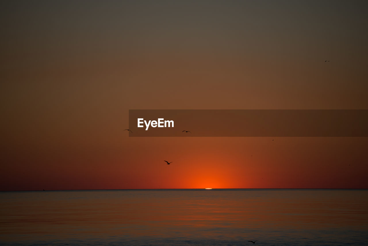 SILHOUETTE BIRDS FLYING OVER SEA AGAINST SKY