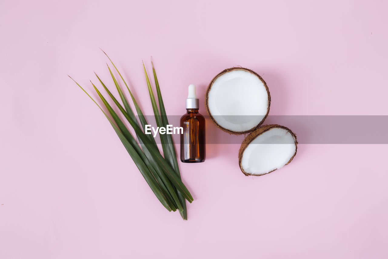 Cut halves of coconut and green palm leaf, bottle with essintial oil on a pastel pink background