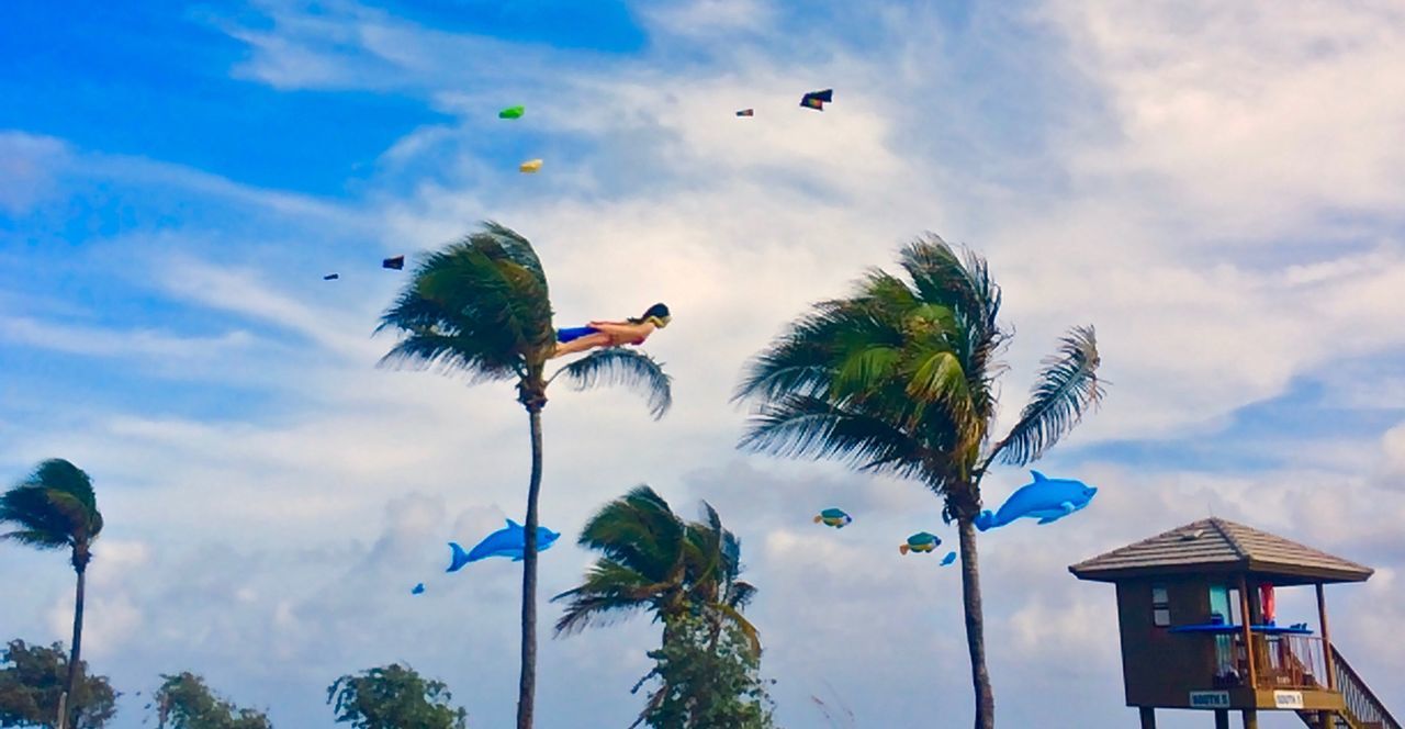 LOW ANGLE VIEW OF BIRDS FLYING AGAINST SKY