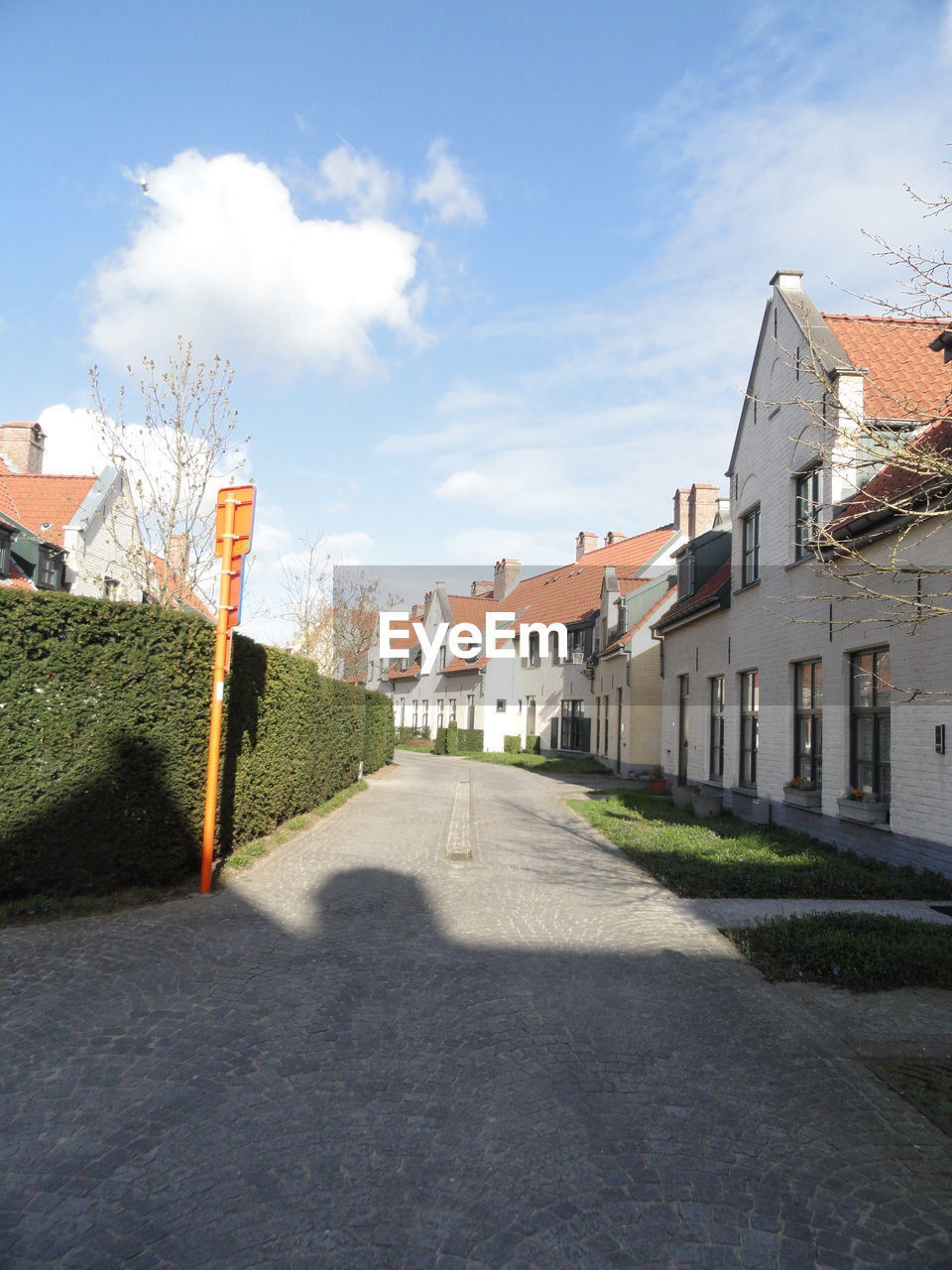 Street amidst houses in town against sky