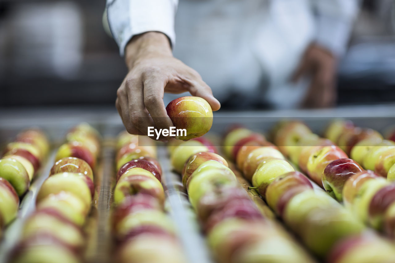 Worker taking apple from conveyor belt in factory