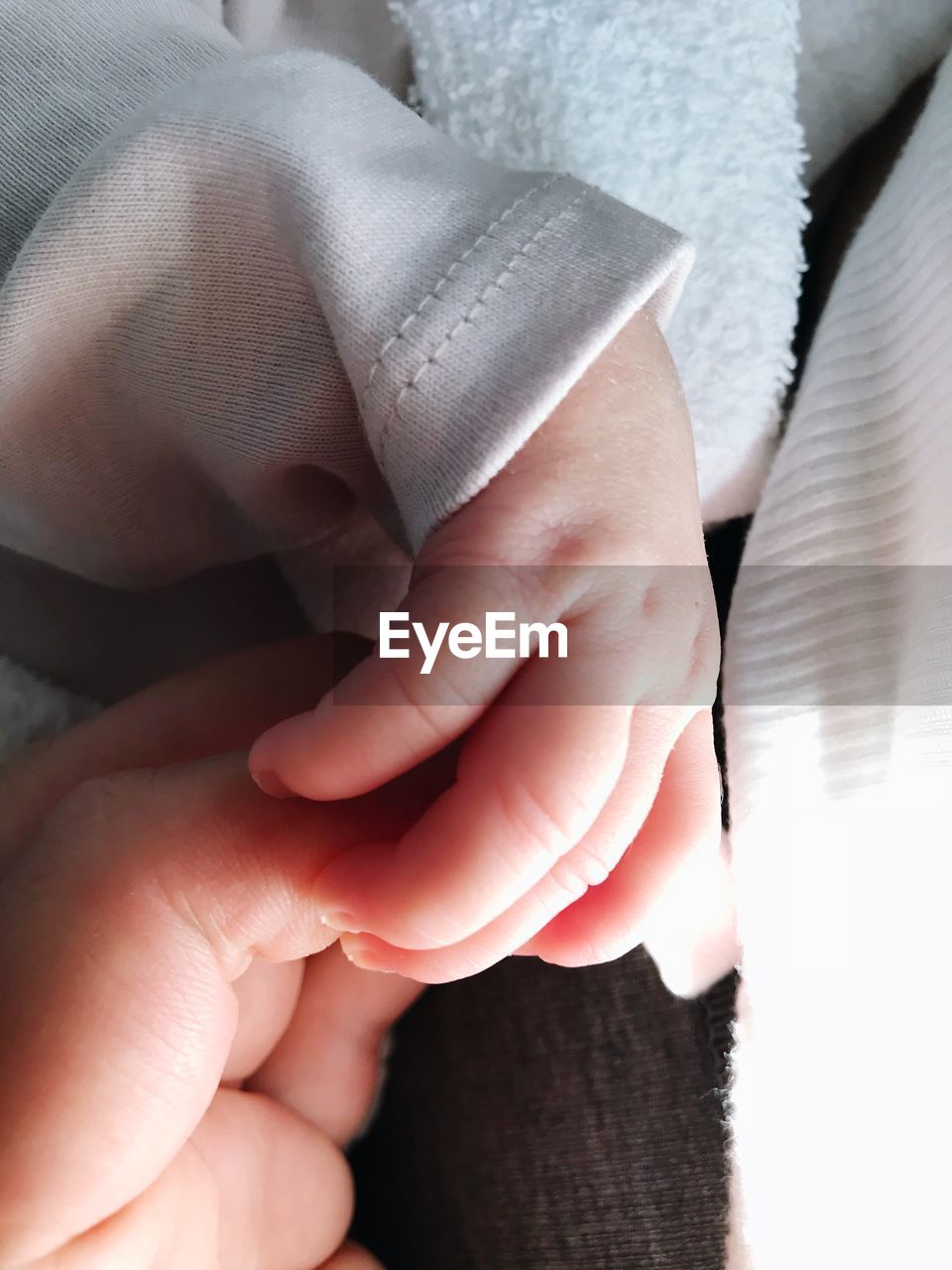 Cropped image of baby holding parent hand