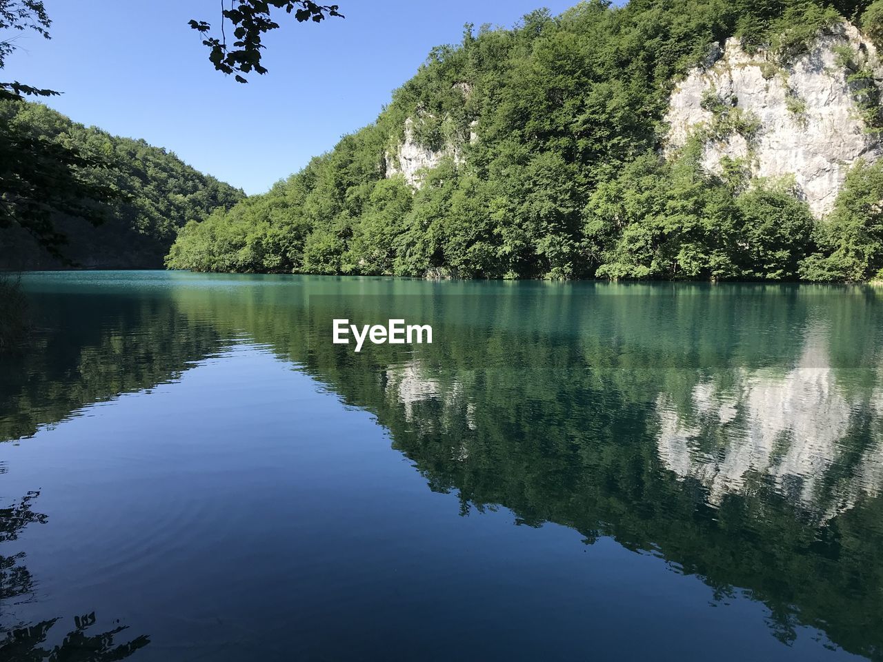 Scenic view of lake by trees against sky