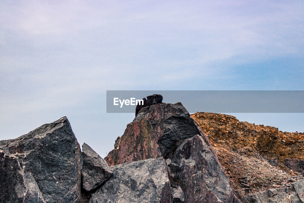 Low angle view of dog sitting on rock formations against sky