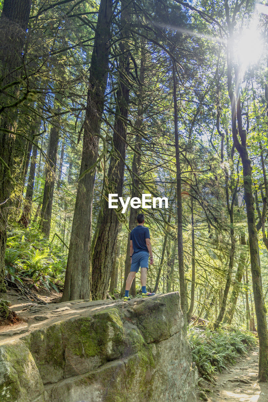 Rear view of man standing on rock in forest