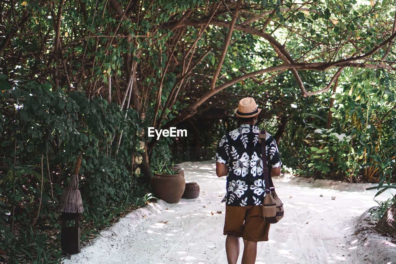 Rear view of man walking by trees at beach