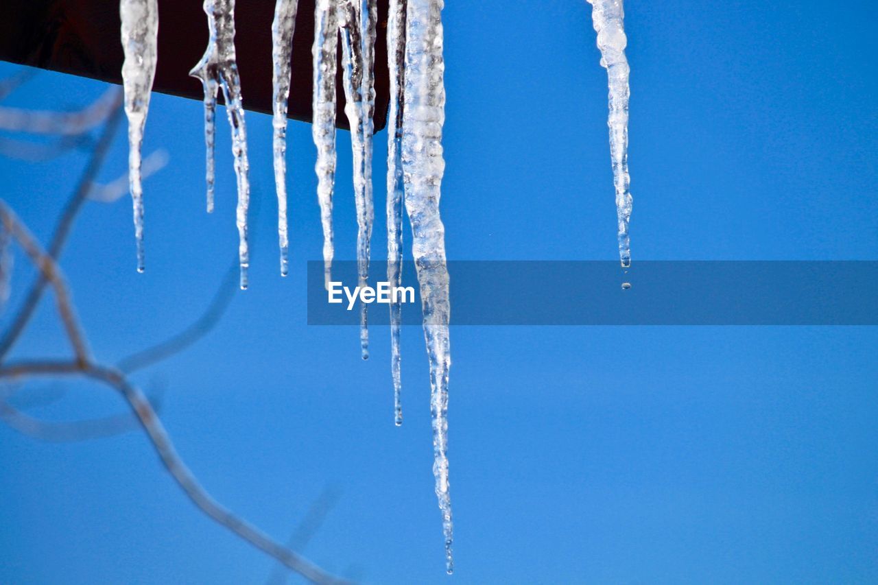 CLOSE-UP OF ICICLES AGAINST BLUE SKY