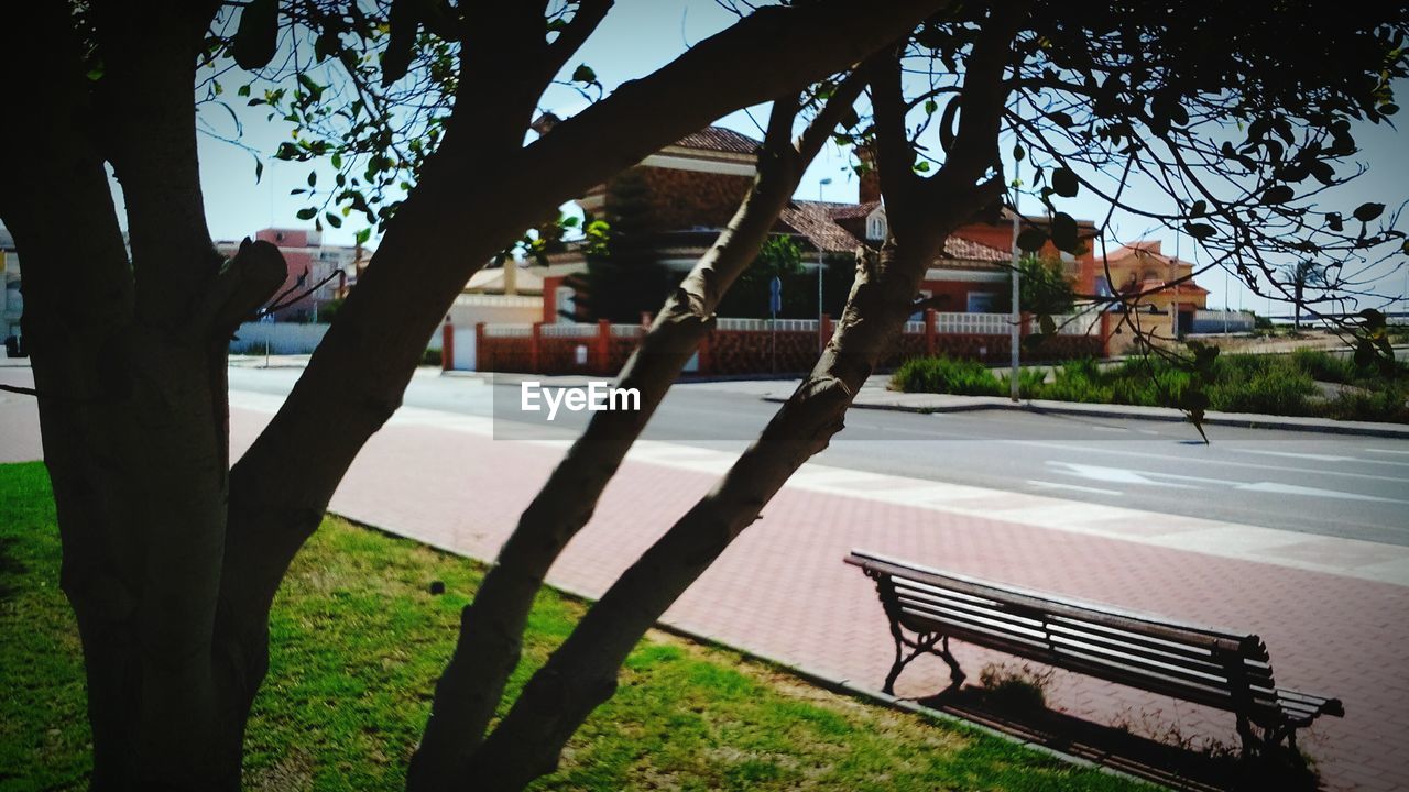 EMPTY BENCHES IN PARK