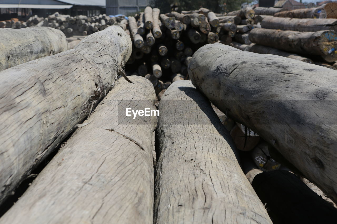 CLOSE-UP OF LOGS ON WOOD