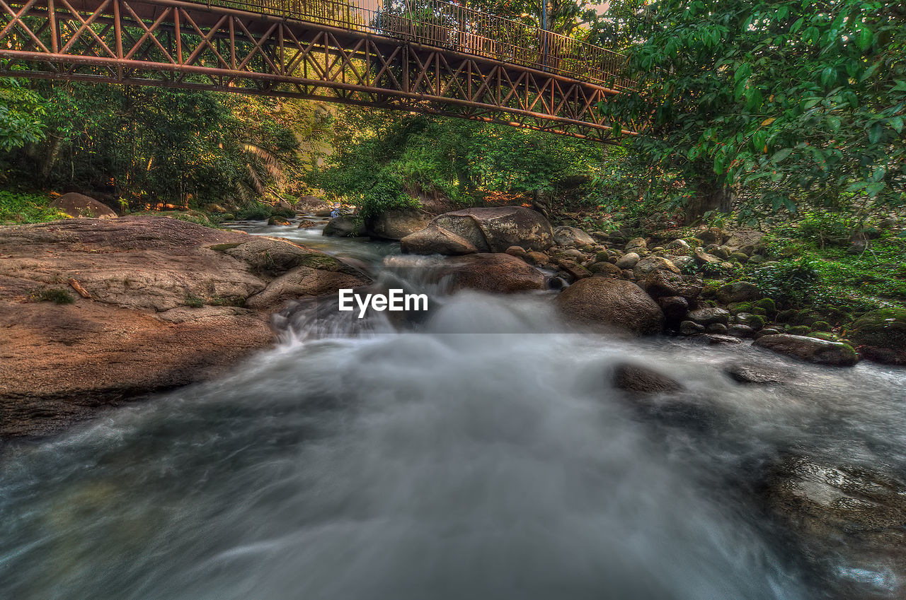 RIVER FLOWING THROUGH FOREST