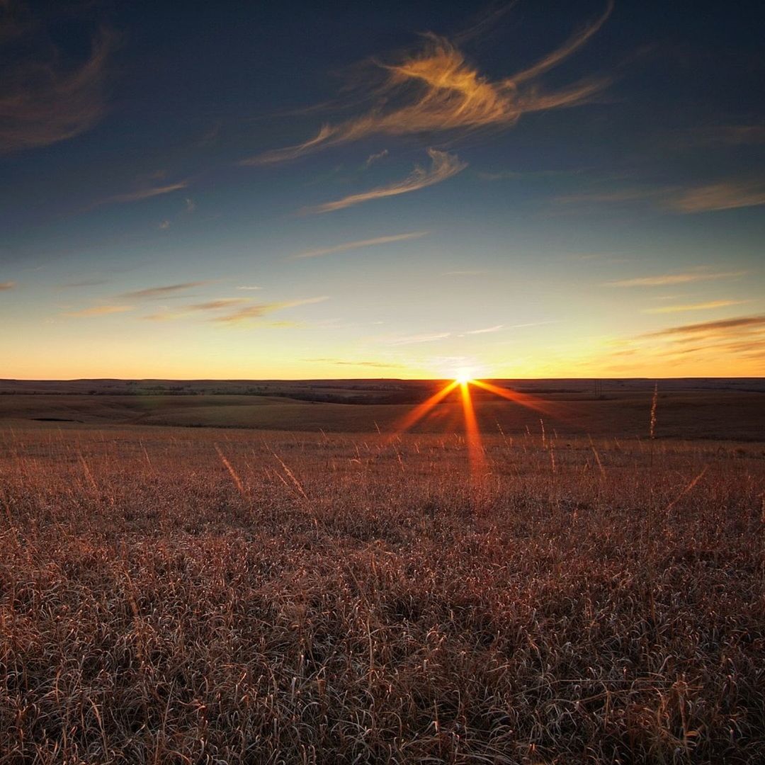 Scenic view of field against sky during sunset