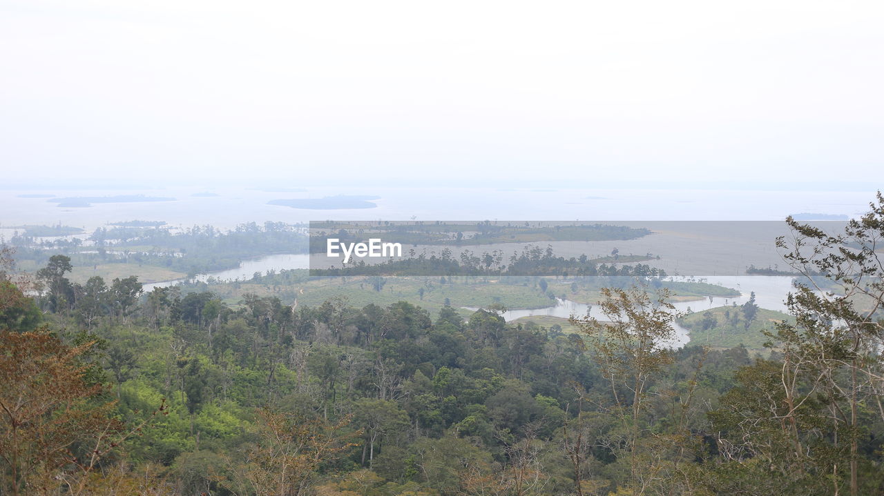 High angle view of trees and cityscape against sky