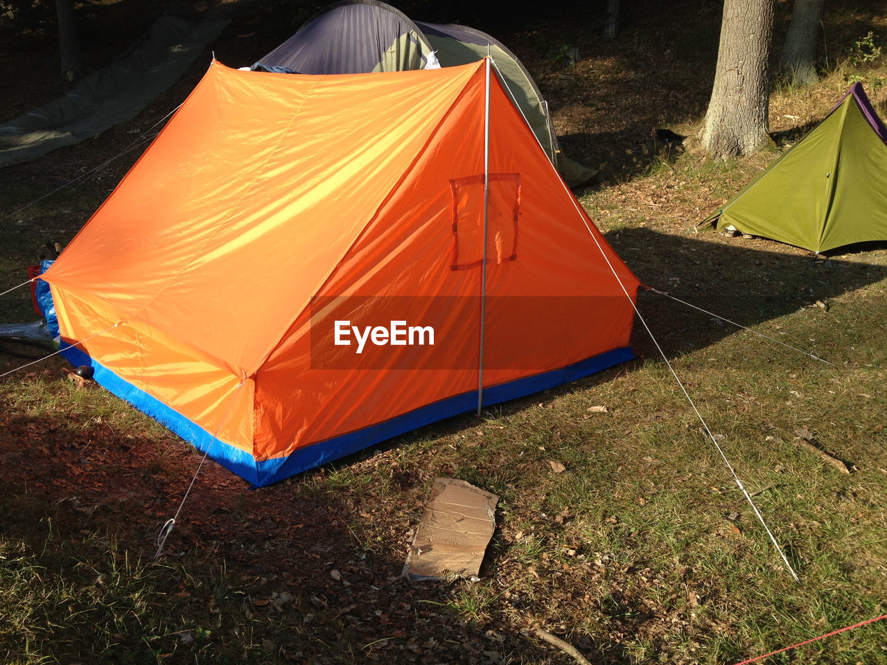 TENT ON FIELD BY TREES