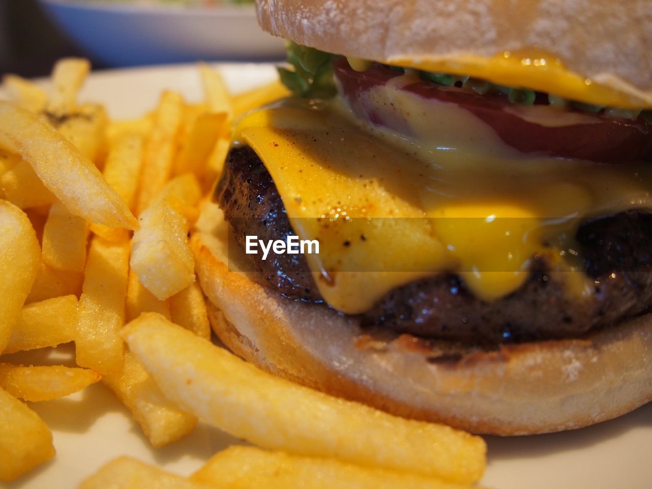 Close-up of burger and french fries served in plate