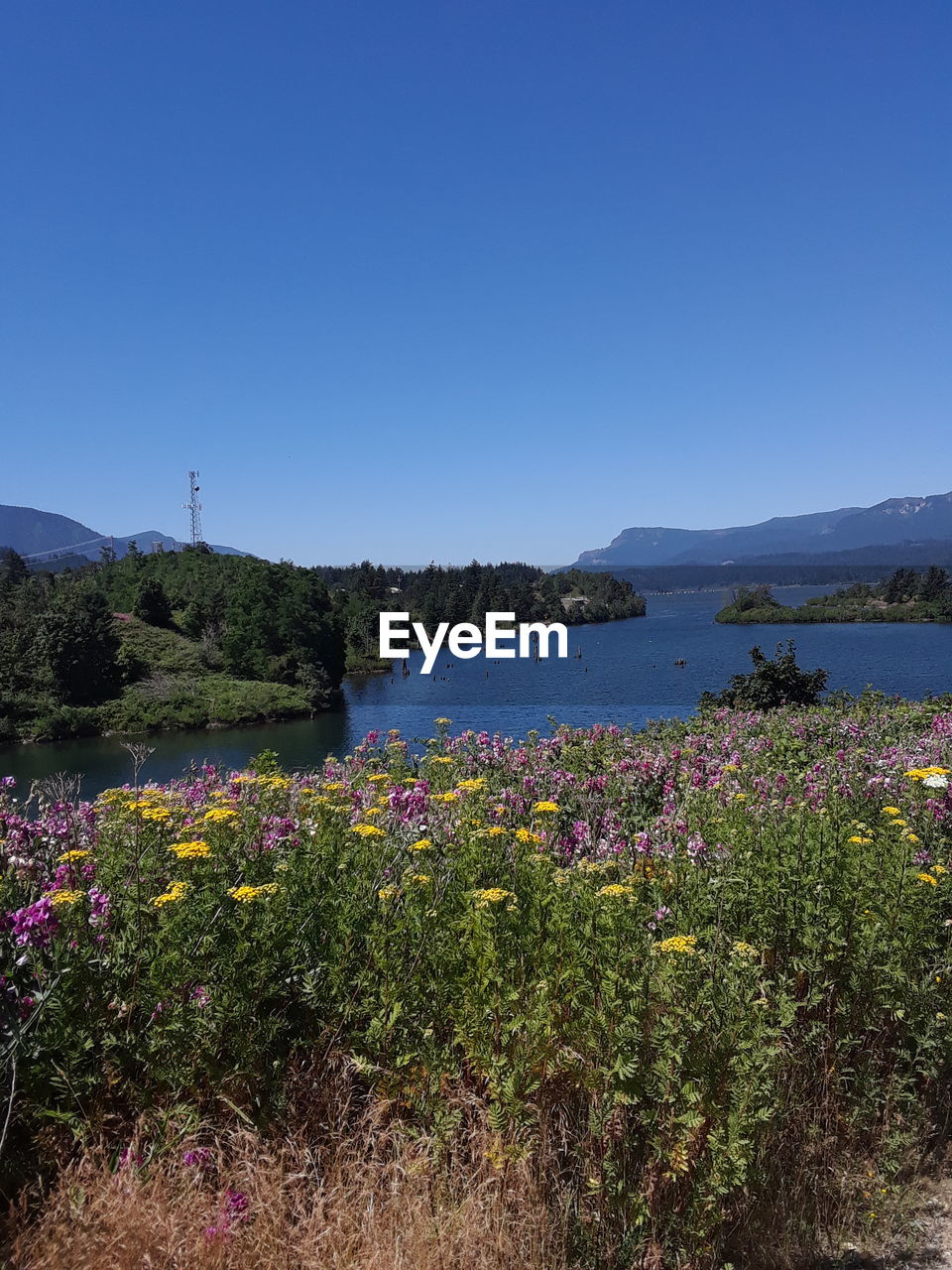 Scenic view of landscape and mountains against clear blue sky