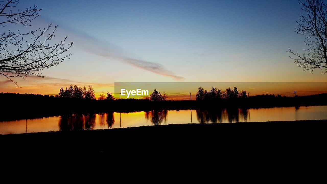 Silhouette plants along calm countryside lake