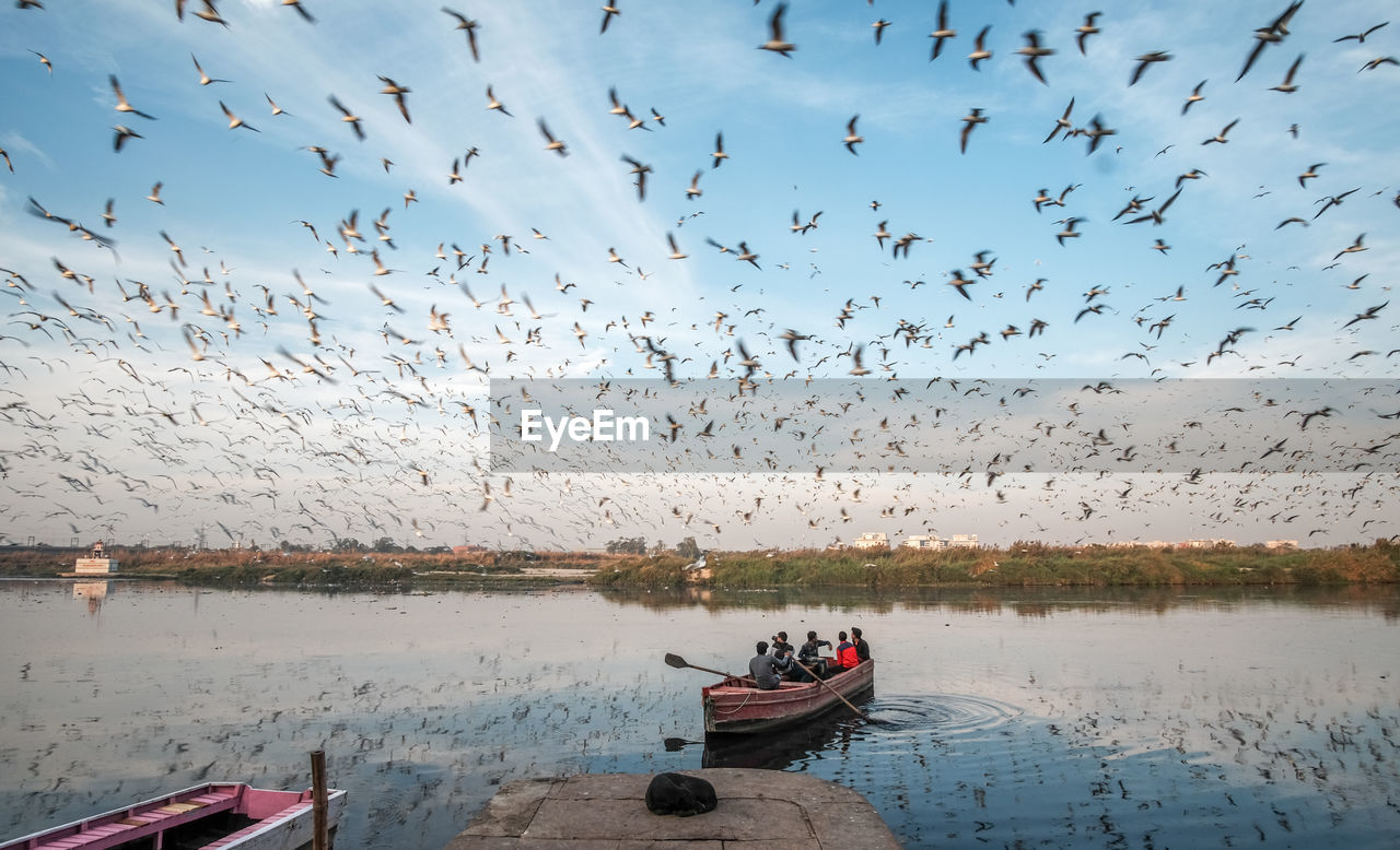 Flock of birds over river against sky