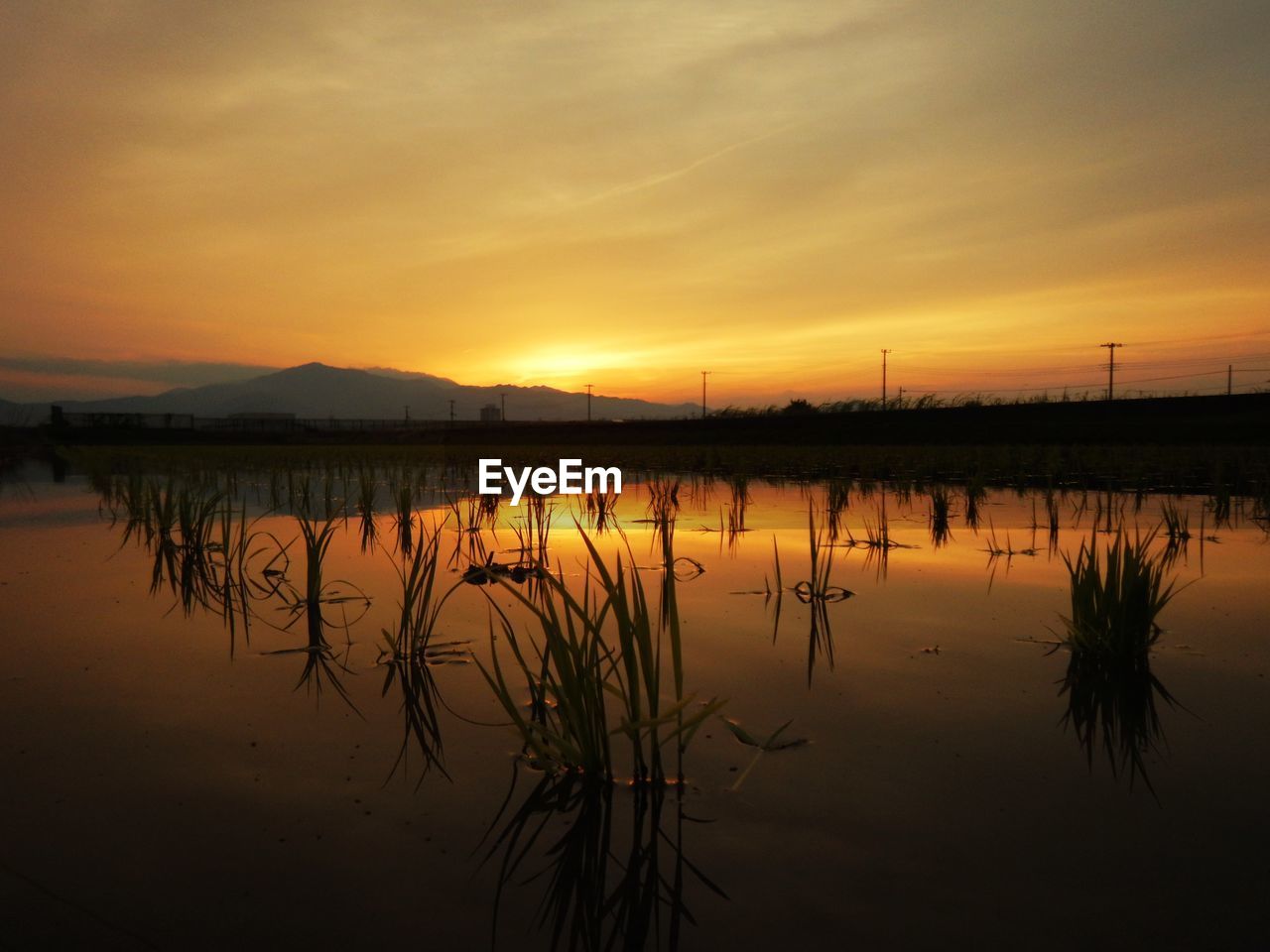 water, reflection, sky, sunset, beauty in nature, tranquility, scenics - nature, lake, dawn, tranquil scene, nature, cloud, environment, orange color, no people, evening, silhouette, idyllic, landscape, afterglow, sun, non-urban scene, outdoors, standing water, dramatic sky, beach, reflection lake, twilight, land, plant