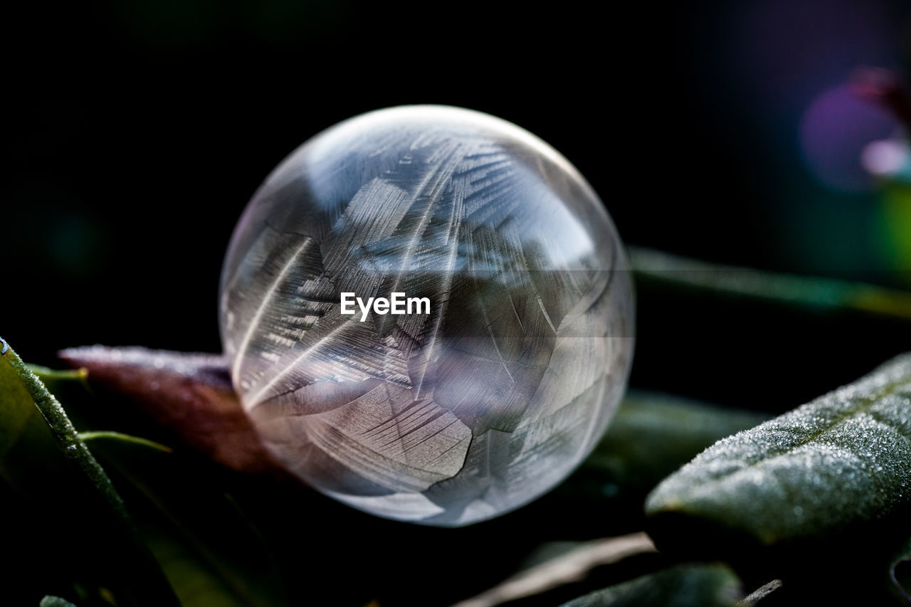 Close-up of frozen bubble