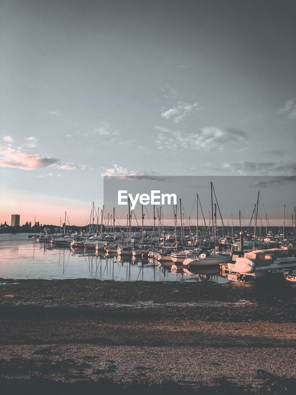 Sailboats moored in harbor at sunset