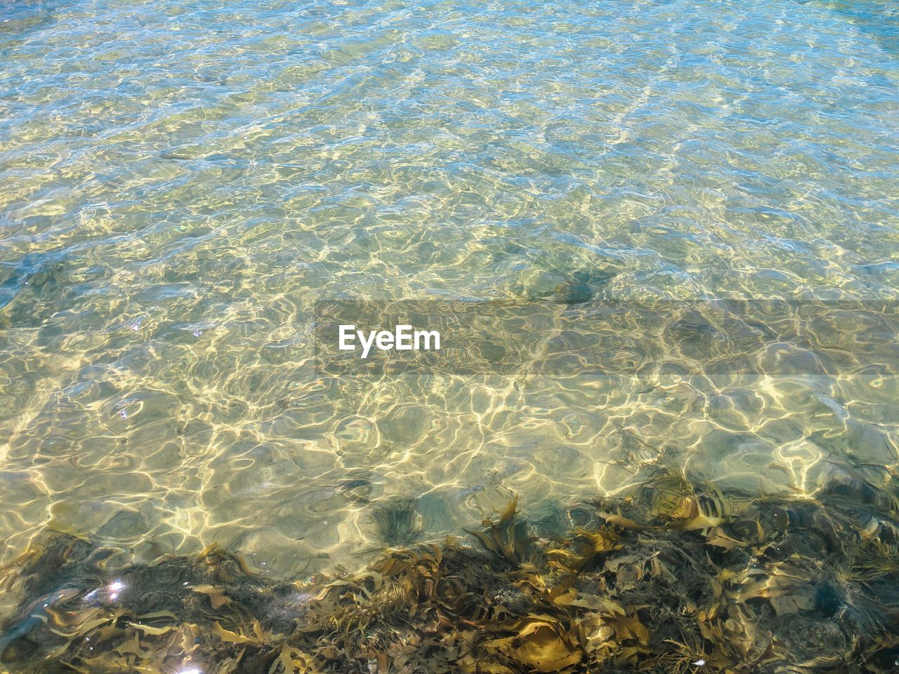 Full frame shot of sea water