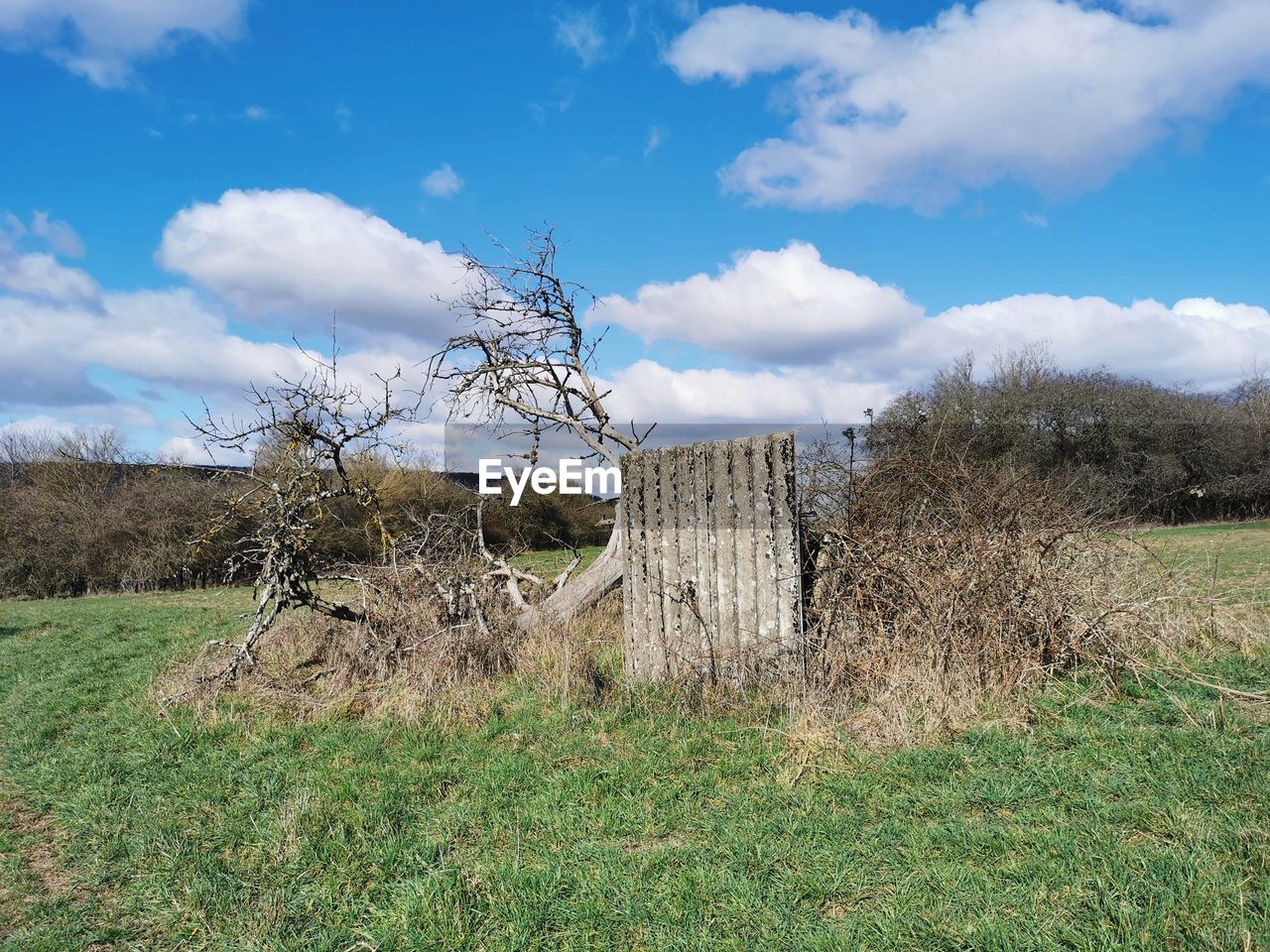 plant, sky, cloud, grass, landscape, nature, land, rural area, environment, field, scenics - nature, tree, no people, hill, rural scene, fence, day, tranquility, prairie, beauty in nature, non-urban scene, outdoors, blue, tranquil scene, meadow, architecture, agriculture, growth, wood, ruins, green