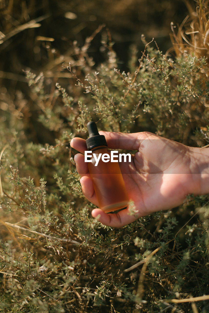 Cropped hand holding bottle over plants