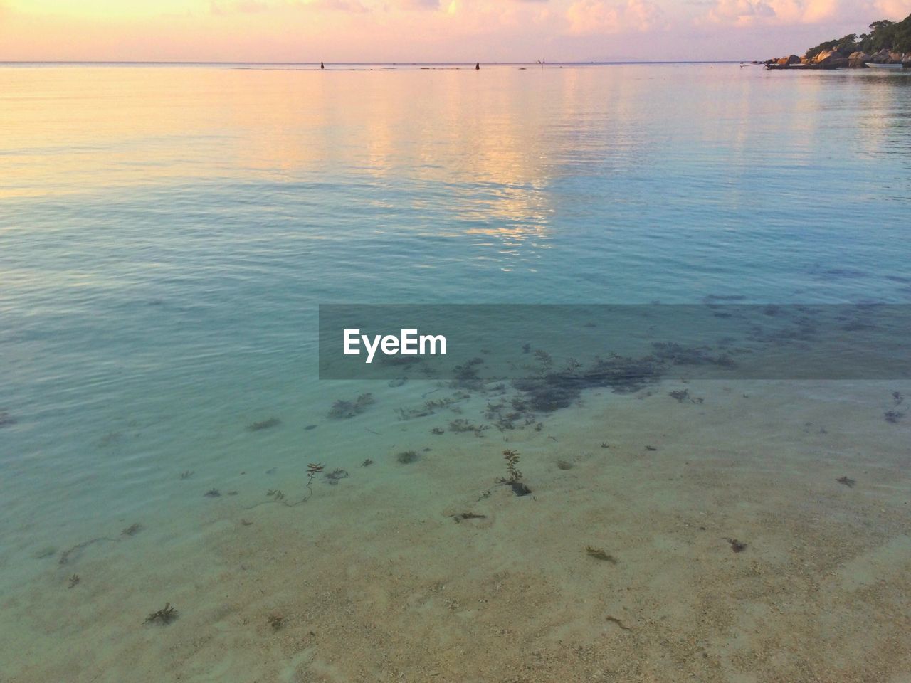 Scenic view of sea at sunset