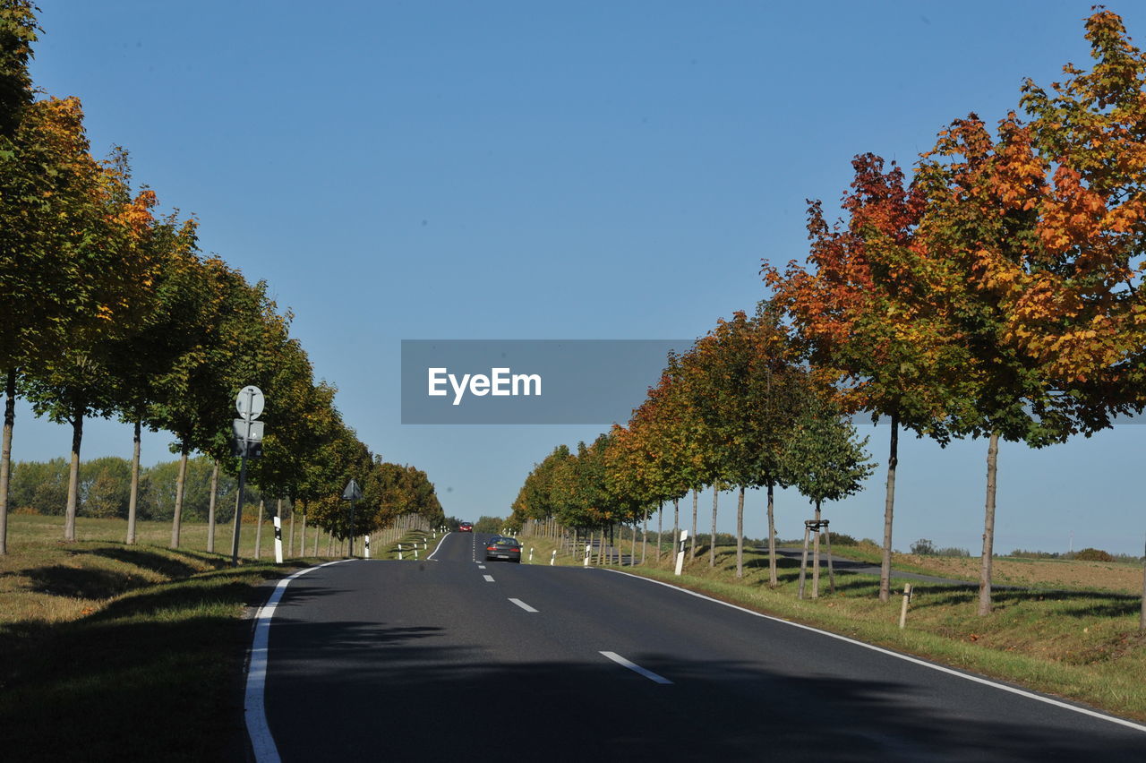 ROAD AMIDST TREES AGAINST SKY