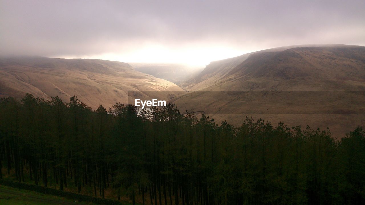 Trees and mountains against cloudy sky at sunset