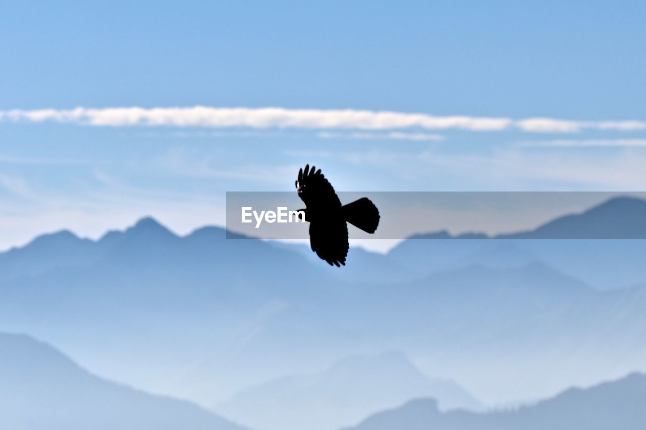 SILHOUETTE BIRD FLYING OVER MOUNTAINS