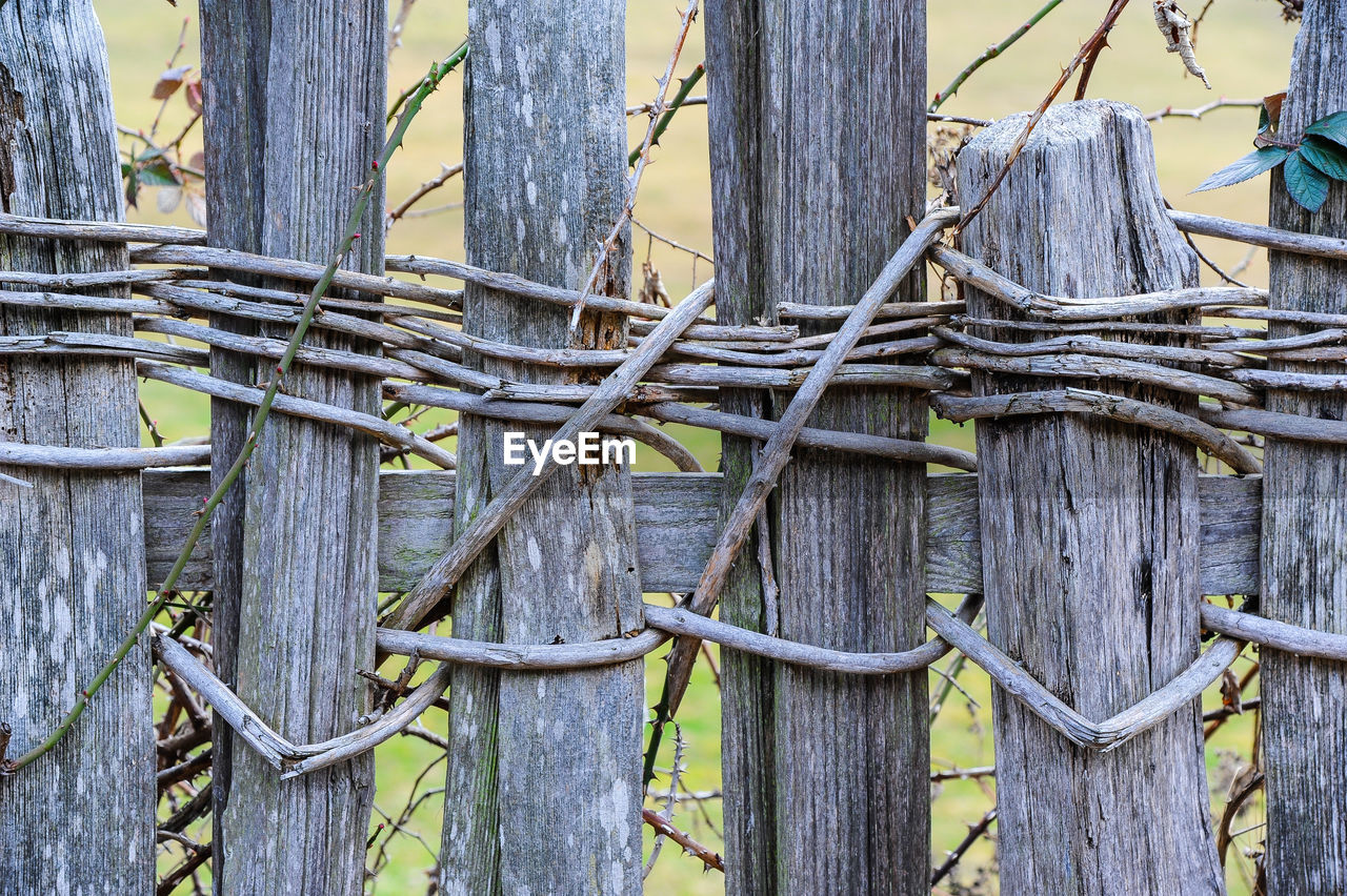 fence, outdoor structure, branch, no people, wood, home fencing, day, tree, plant, nature, iron, outdoors, protection, security, architecture, twig, full frame, tree trunk, built structure, trunk, backgrounds, land