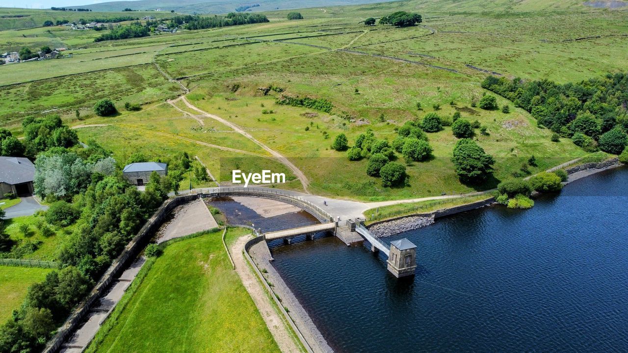 HIGH ANGLE VIEW OF LAND AND TREES